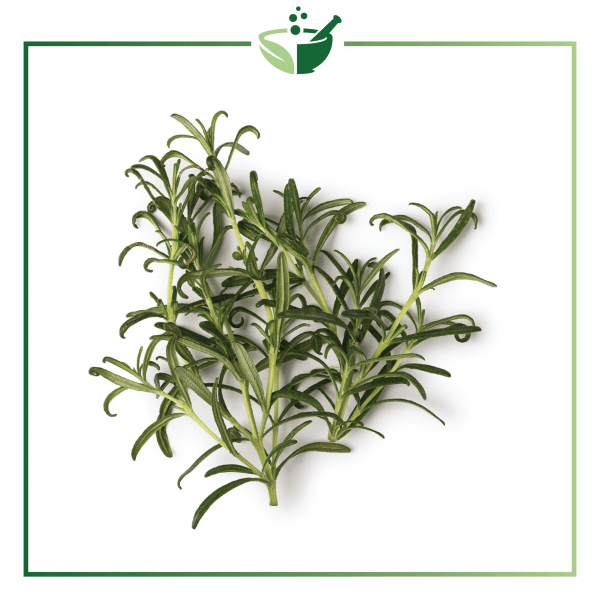 Rosemary Essential Oil-01
